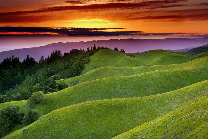 ����ũ��� ����